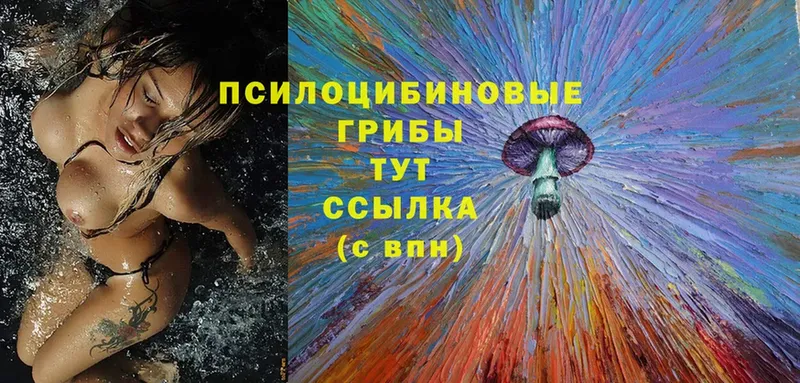 omg ссылка  Энем  Псилоцибиновые грибы MAGIC MUSHROOMS 